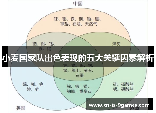 小麦国家队出色表现的五大关键因素解析