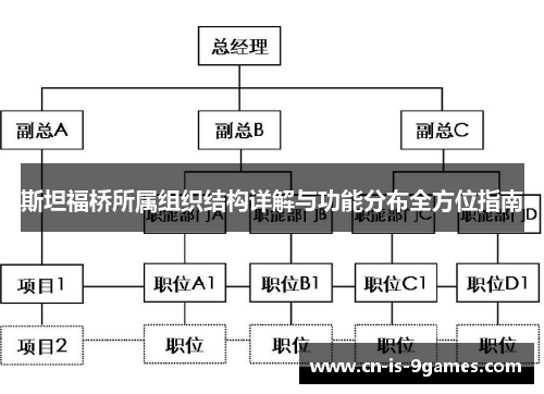 斯坦福桥所属组织结构详解与功能分布全方位指南