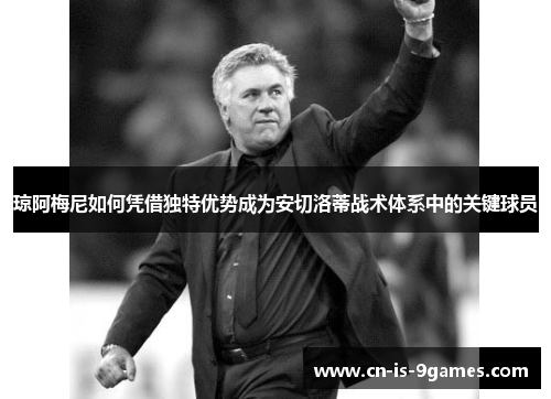 琼阿梅尼如何凭借独特优势成为安切洛蒂战术体系中的关键球员